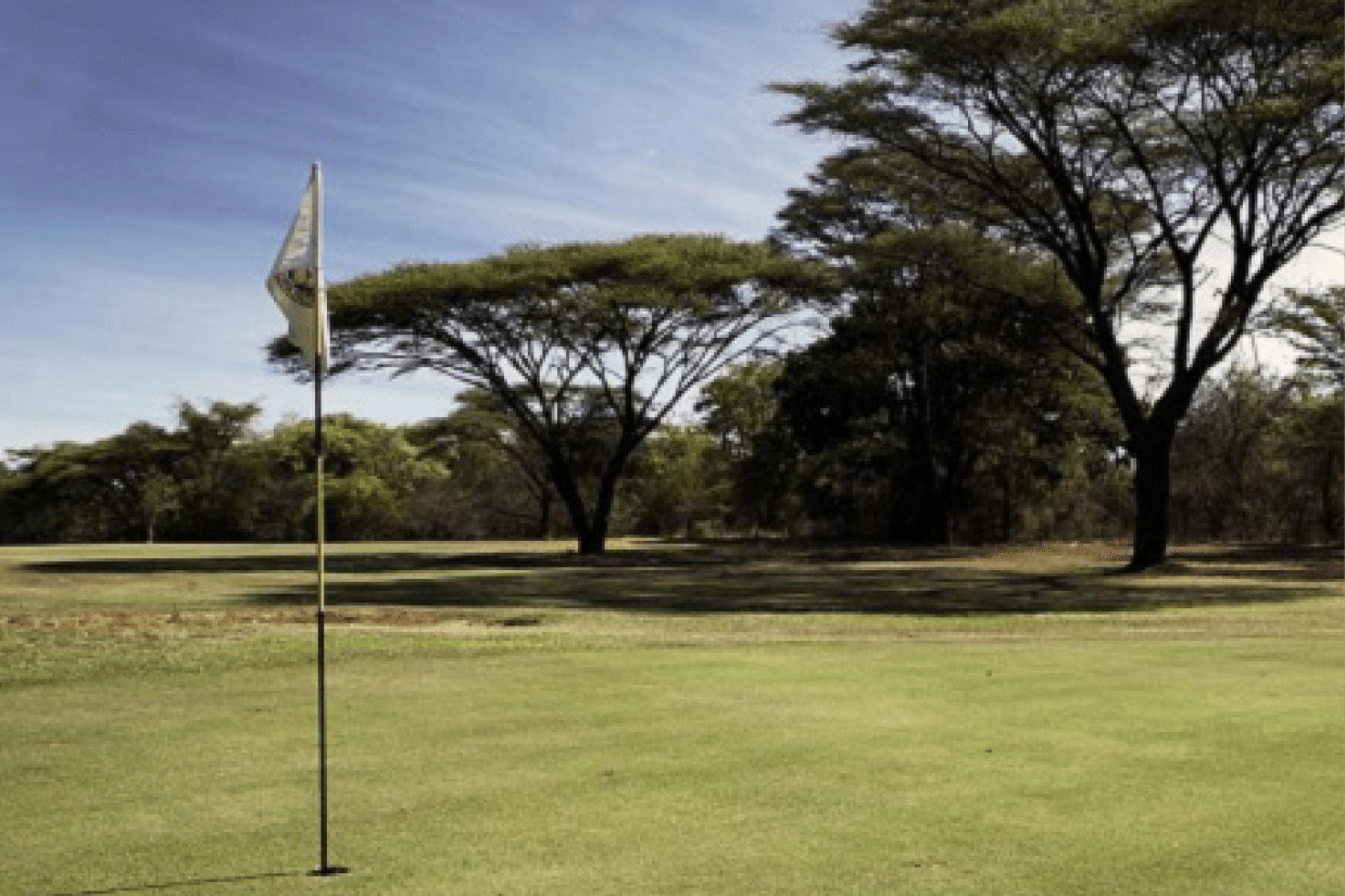 seolo-africa-golfing-wild-elephant-course