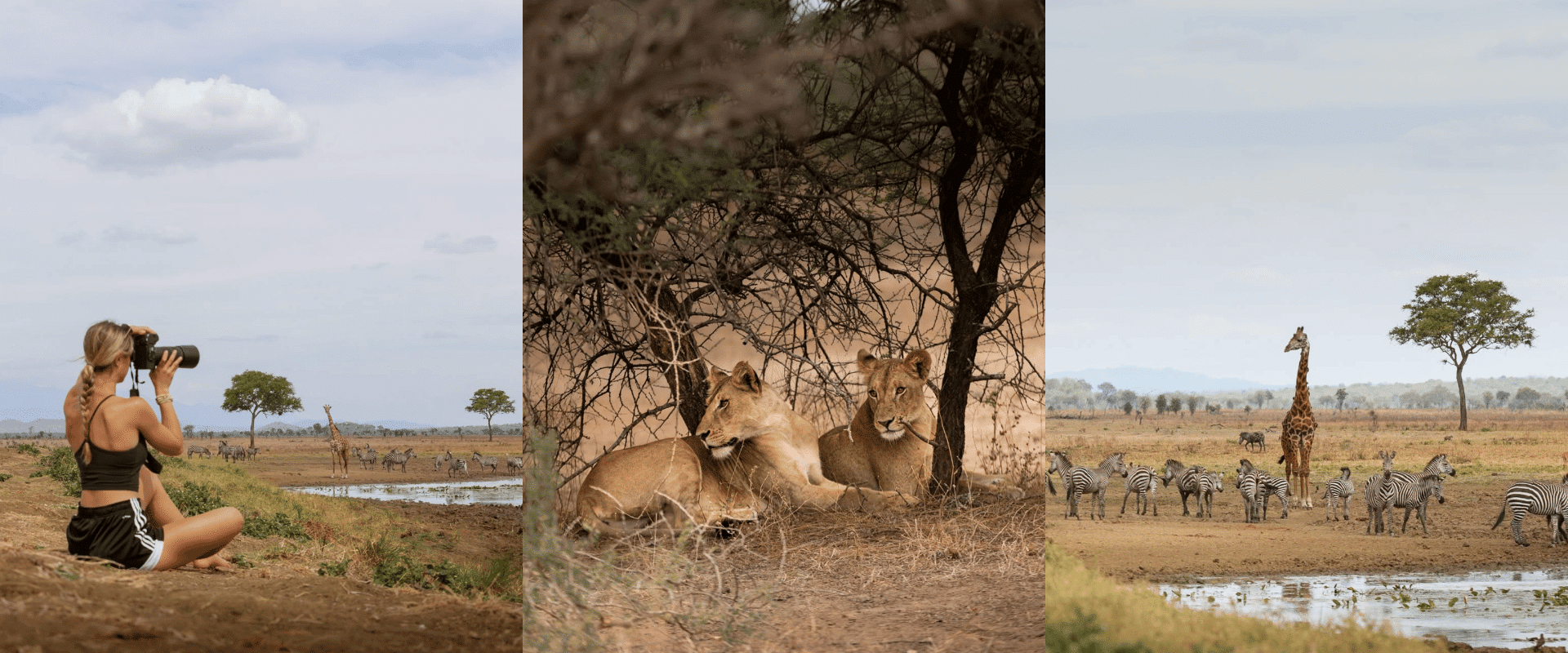 Mikumi National Park, Tanzania