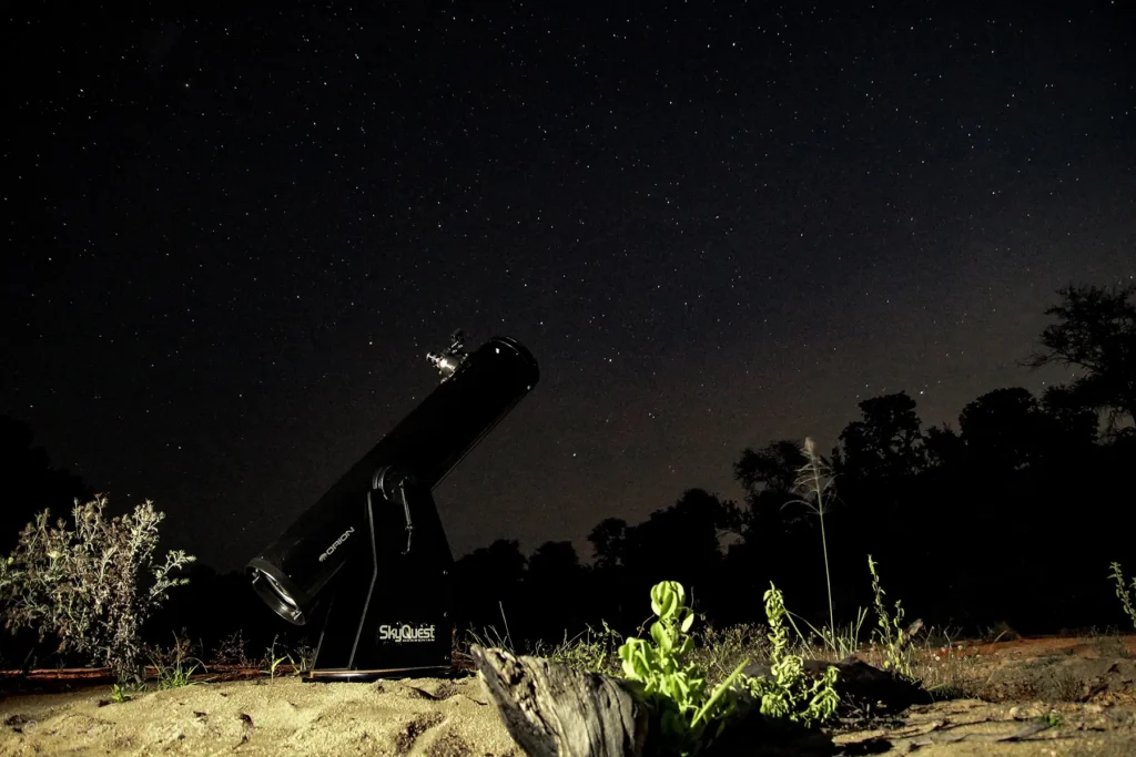 1800px-2026-seolo-africa-rhino-post-star-gazing-2