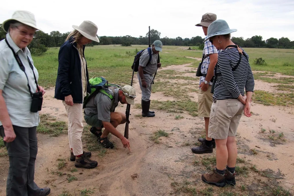 1800px-2026-seolo-africa-rws-walking-safari-79