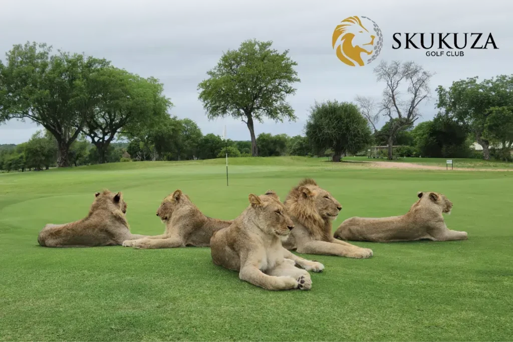 2026-seolo-golfing-skukuza